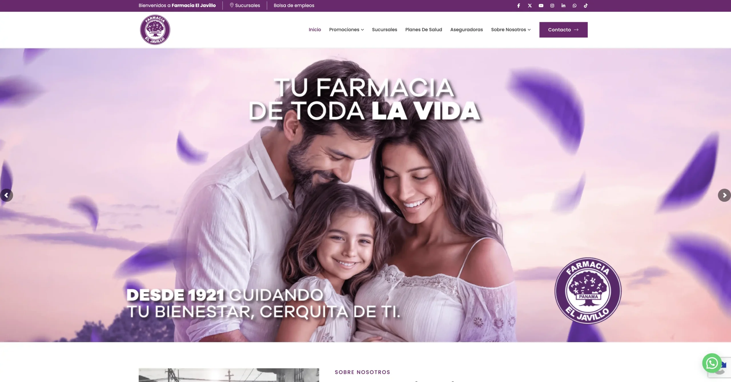 Web corporativa Farmacia El Javillo